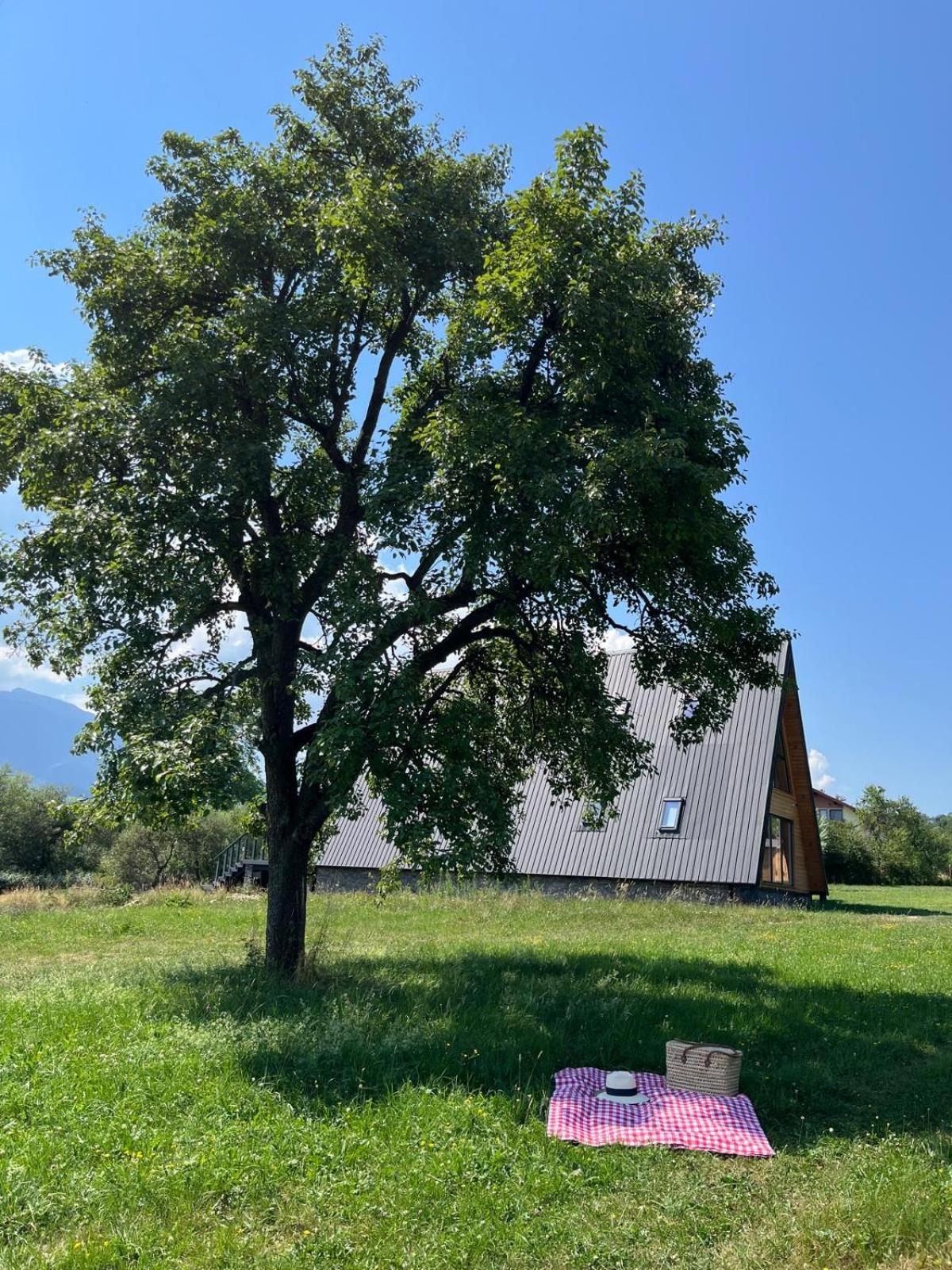 Vino Chalets Bran Sohodol  Екстер'єр фото