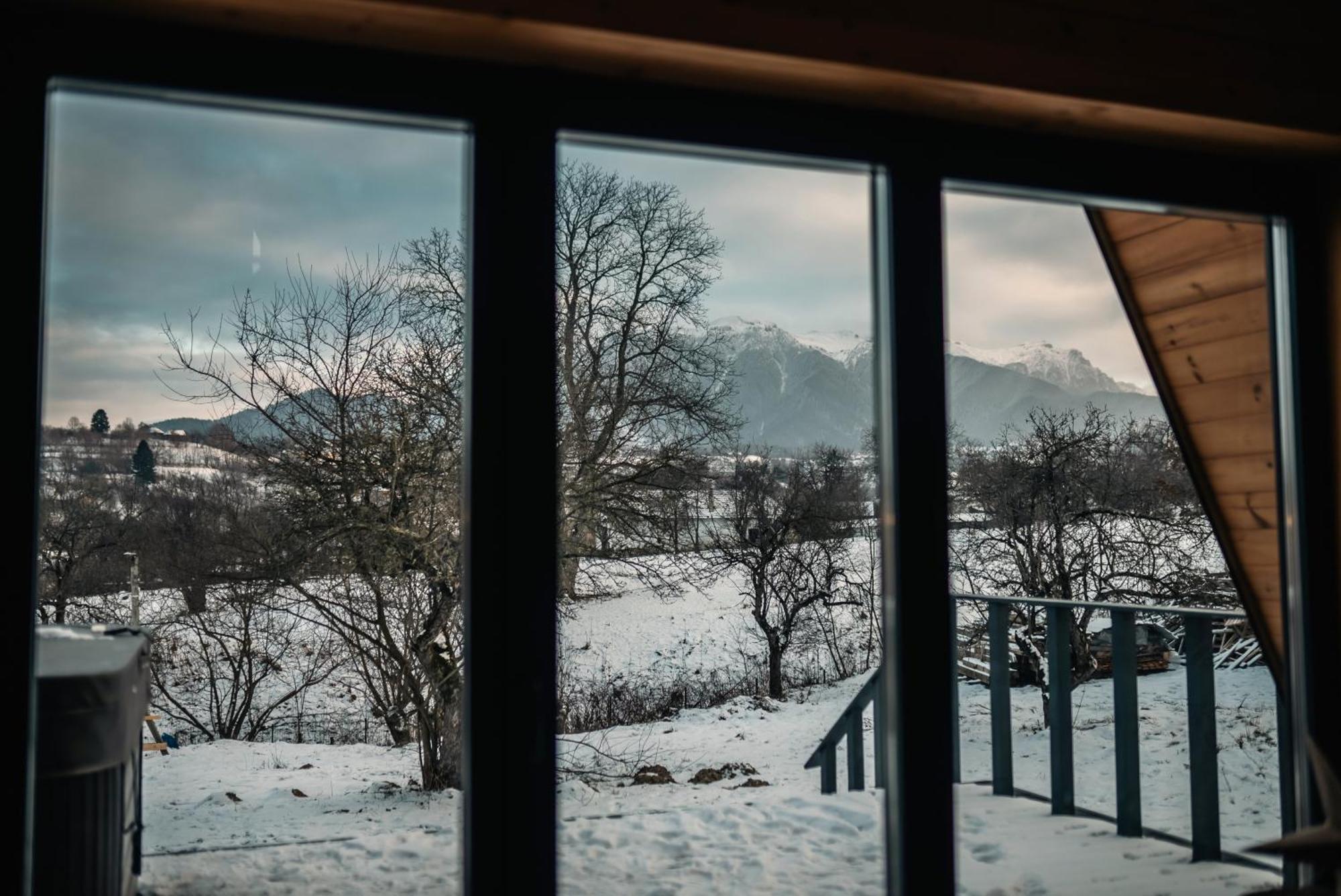 Vino Chalets Bran Sohodol  Екстер'єр фото