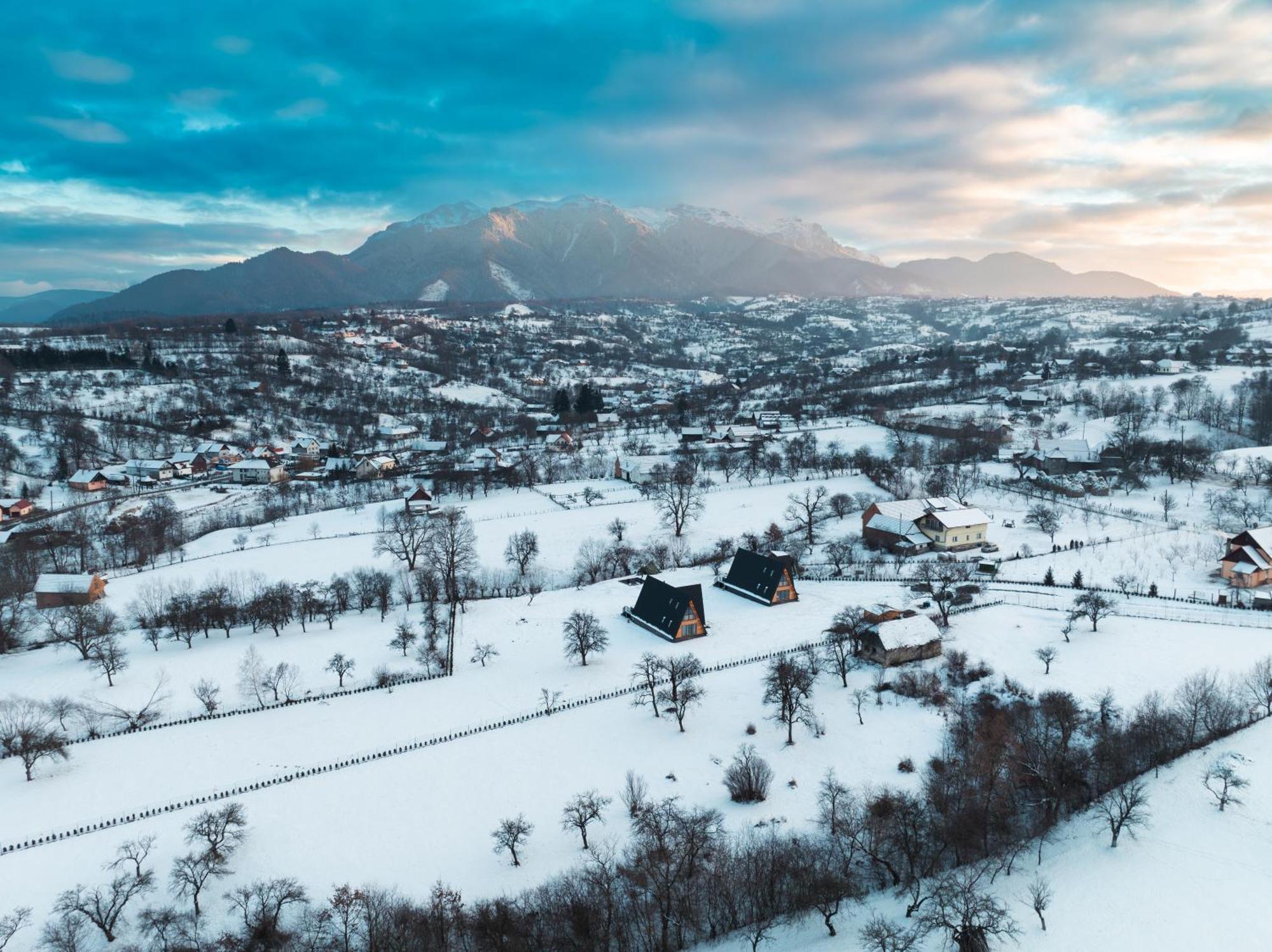 Vino Chalets Bran Sohodol  Екстер'єр фото